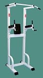 Mega Chinning, Dipping, & Leg Raise Unit