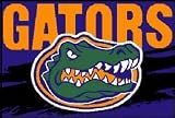 Florida Gators Entry Mat