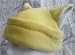 Cat Ears Yellow Fleece Hat