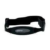 Garmin Forerunner 301