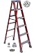 12' FBG 1A Step Ladder
