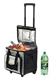 Tools & Hardware : 12V Thermoelectric Cooler Travel Bag (Black/Silver) (14"H x 13"W x 17"D)
