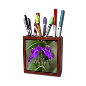 Lee Hiller Photography Hot Springs National Park Wildflowers - Wildflower Purple Spiderwort Twins - Tile Pen Holders-5 inch tile pen holder