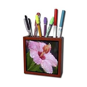 WhiteOak Photography Floral Prints - Hibiscus Tears Hibiscus with Rain Drops - Tile Pen Holders-5 inch tile pen holder