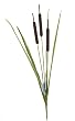 Artificial Cattail