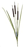 Water Pond Decor
