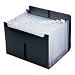 Expanding File With Flap,13 Pocket,Ltr,13x1-1/8x9-1/2,BK, Sold as 1 each