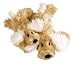 Large Doggyworth Plush Dog Toy