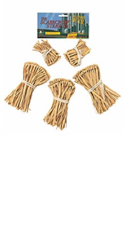 Childrens Toyshop  Toys : Wizard of Oz tm Strawkit for Scarecrow Costume