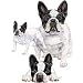 French Bulldog Adult T-Shirt