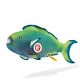 Review Steiff 035579 / Steiff Zappy Parrotfish