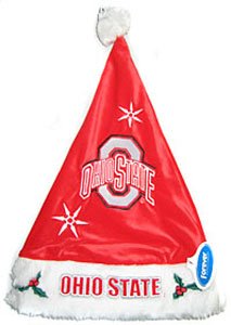 Ohio State Buckeyes Color Block Santa Hat (Quantity of 1)
