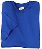 Hanes Beefy-T - Born To Be Worn 100% Cotton T-Shirt Royal -L