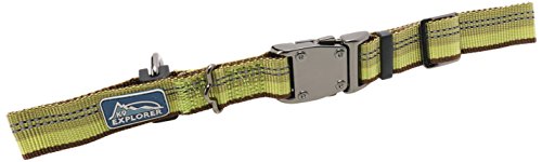 Coastal Pet Products DCP36923FRN K9 Explorer 1-Inch Dog Collar, Large, Fern