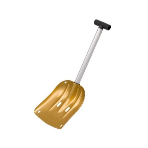31MFqXg4lCL.jpg