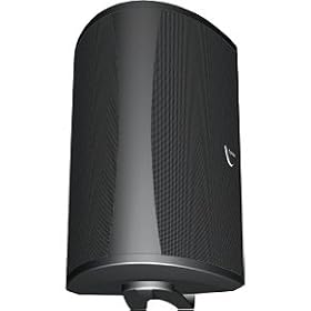 Definitive Technology AW 6500 Outdoor Speaker (Single, Black)