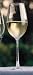 Riedel Overture Champagne Glasses (Set of 6)
