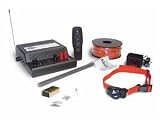 PetSafe Deluxe Radio Fence Plus Training System