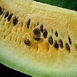 Organic Golden Honey Watermelon - 35 Seeds - B001ECUNGY