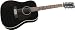 Rogue Herringbone 12-String Acoustic Guitar Black