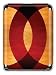 GelaSkins Protective Skin with Screen Protector for iPod nano 3G (Contortionist)