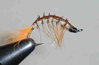 Michigan Wiggler Hot Tail Orange #8