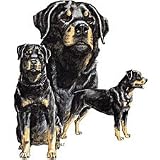 Rottweiler Adult Long Sleeve T-Shirt