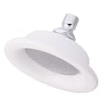 Chrome Sunflower 6.5" Showerhead