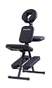 Health Mark MS15001 Portable Massage Chair (Black)
