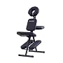 Health Mark MS15001 Portable Massage Chair (Black)
