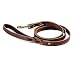 5' Braided Leather Leash - Frontgate