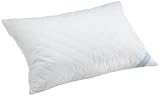Southern Living 233 Thread-Count Queen Size Quilted White Duck Feather Bed Pillow, White