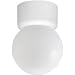 Progress Lighting P3213-30 Polycarbonate Canopy with White Shatter-Resistant Acrylic Globe, White