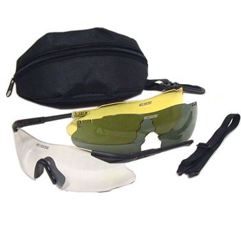 ESS ICE3 international 【日本正规品】,国外代