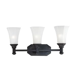 Kaden Vanity Light in Painted Bronze