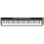 Casio PX-320 Privia Digital Piano