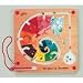 Eric Carle Mixed Up Chameleon Maze Board