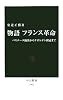 物語 フランス革命―バスチーユ陥落からナポレオン戴冠まで (中公新書)