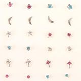 Silver Nose Stud Display Box, 24pcs, Assorted Designs
