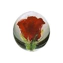 Hafod Grange Red Rose Paperweight Large
