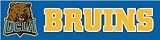 UCLA Bruin..