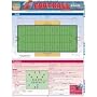 Football Basics Laminated Reference Guide (Quickstudy: Sports)