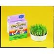 Four Paws Vita-Greens Cat Bowl with Free Grass Treat (Single Pack)