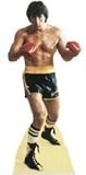 Rocky - Cardboard Cutout - Lifesize Standee [Toy]