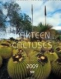 Kakteen-Cactuses 2009. Slim Size Kalender