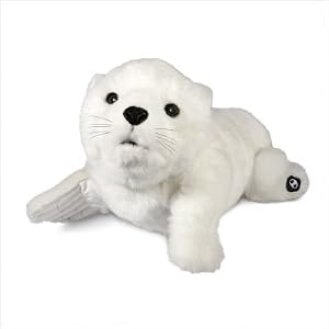 Alive Seal Pup by