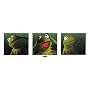 The Muppets TV Show Mini Door Poster