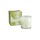 Thymes Frasier Fir Aromatic Poured Candle