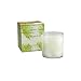Thymes Frasier Fir Aromatic Poured Candle