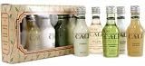 Cali Oliva Travel Set